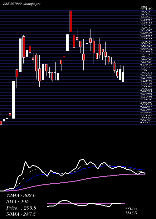  Daily chart GujHotels