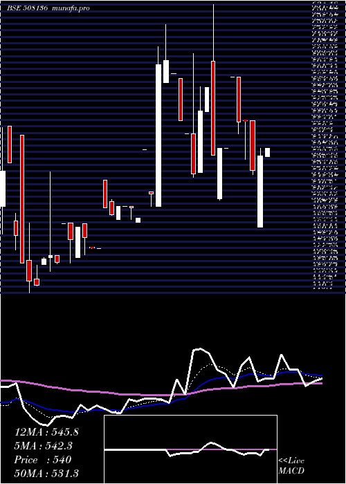 Daily chart Bnaltd