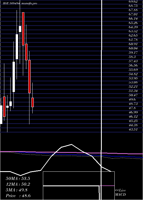  monthly chart WarrenTea