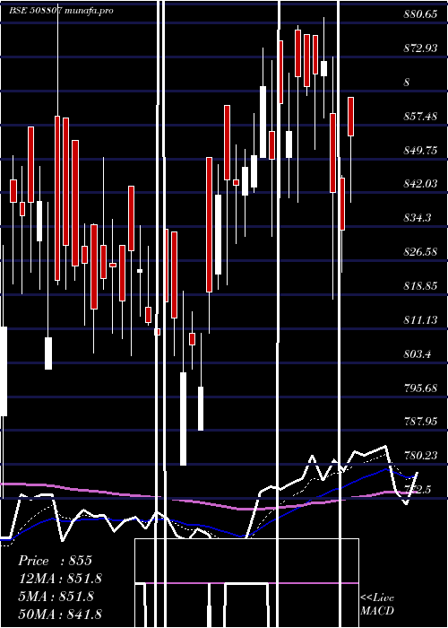 Daily chart Ist