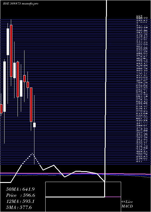  monthly chart Nitincast