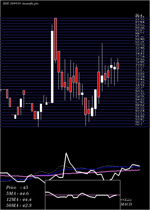 weekly chart Greycells