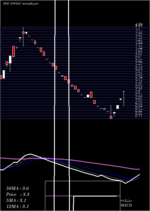 Daily chart MsrIndia