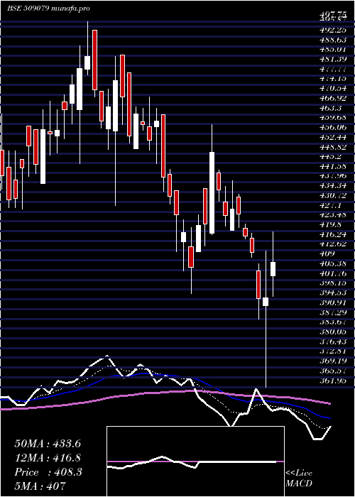  Daily chart GuficBio