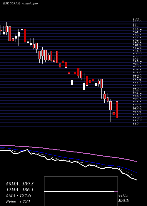  Daily chart IndagRubber