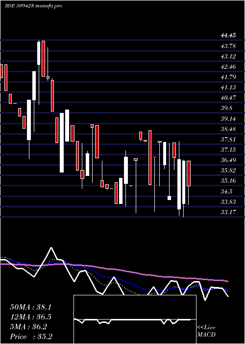  Daily chart Sel