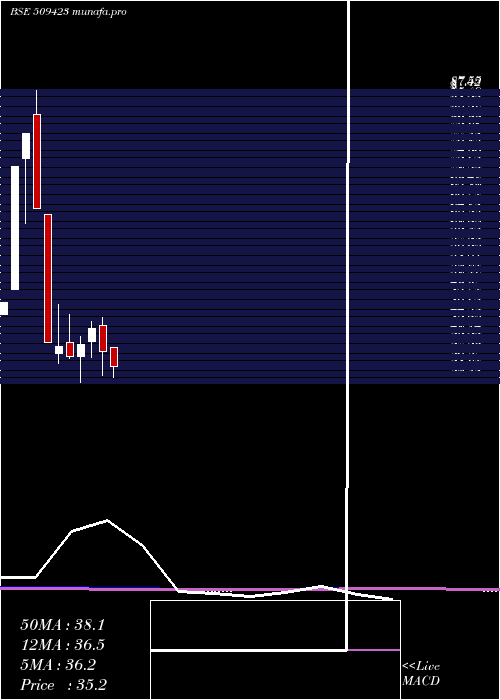  monthly chart Sel