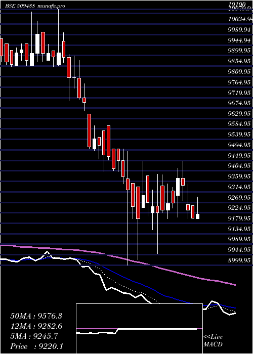 Daily chart BenaresHot