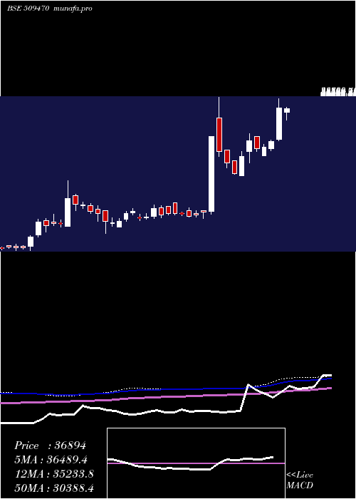  weekly chart BomoxyB1