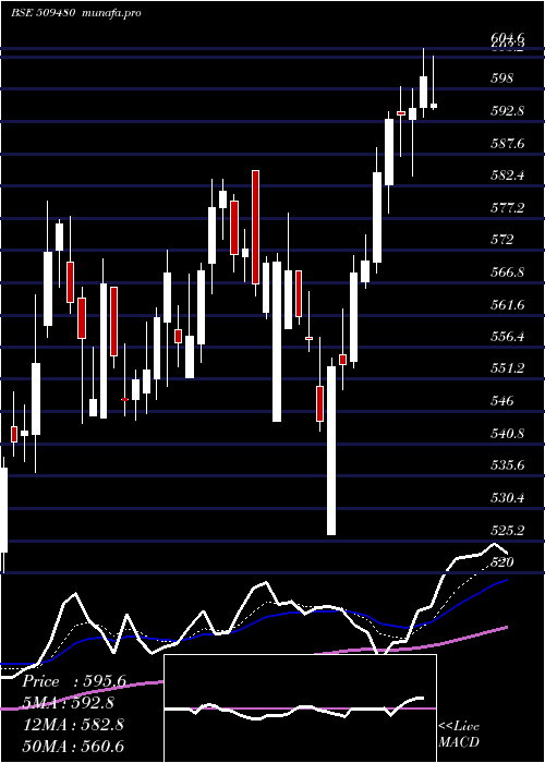 Daily chart BergePaint