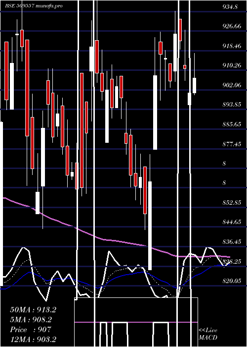 Daily chart Garfibres