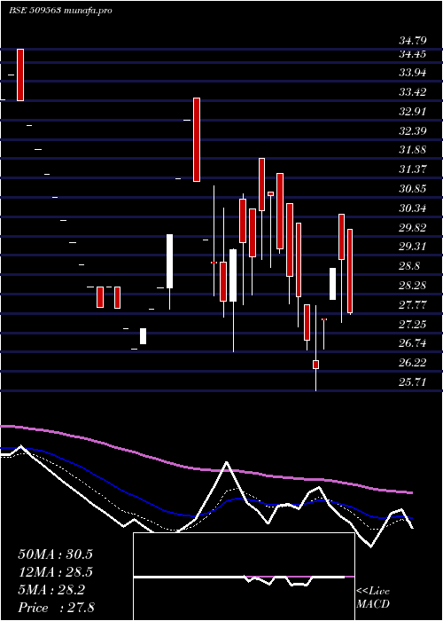  Daily chart GarwaMarine