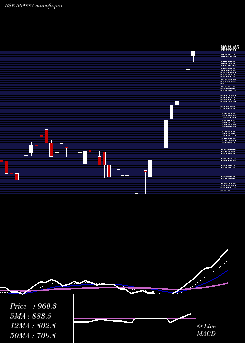 Daily chart SinnarBidi