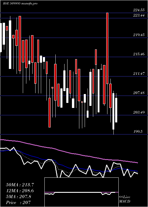  Daily chart HindMills