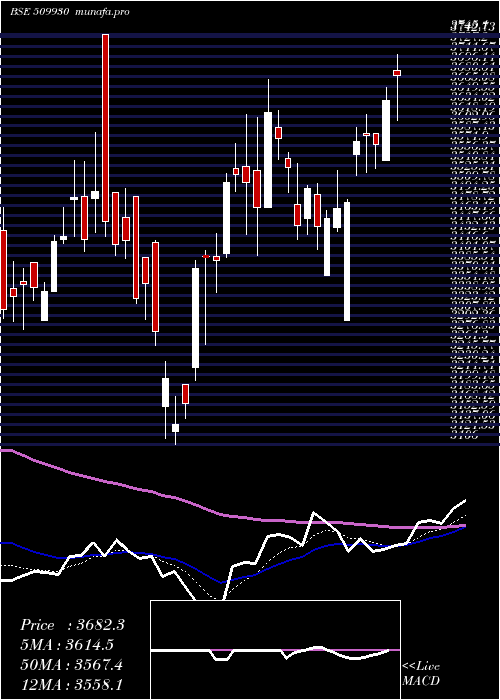 Daily chart SupremInd