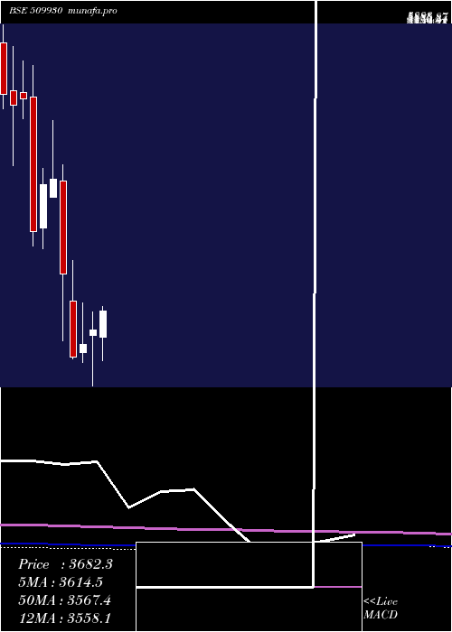 monthly chart SupremInd