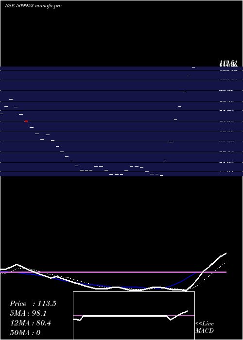  Daily chart TradeWings