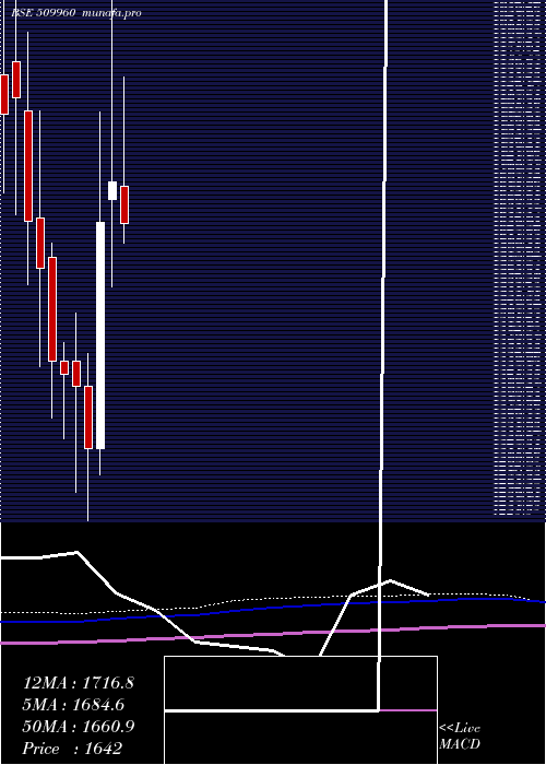  monthly chart UP