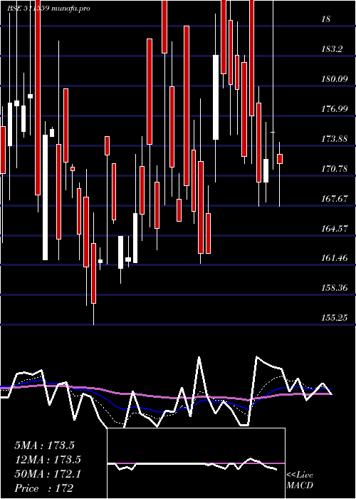  Daily chart TimesGuaran