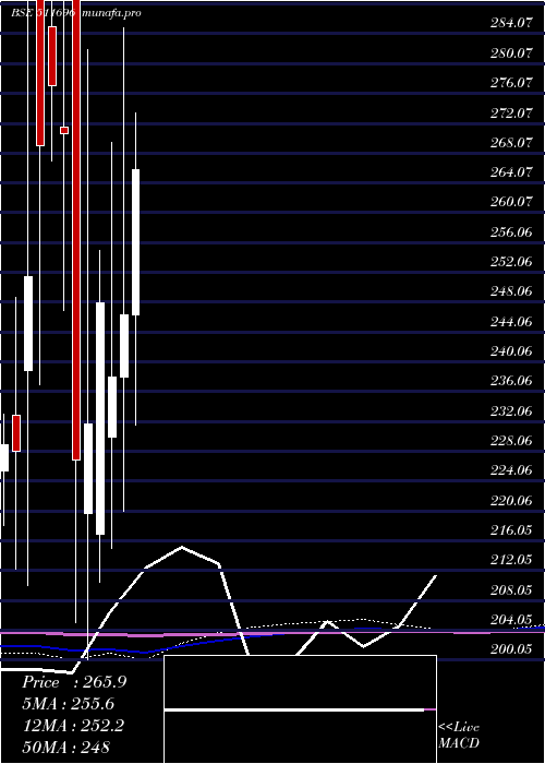  monthly chart CharteredCa