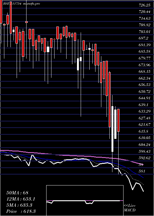  Daily chart ShalibFinan