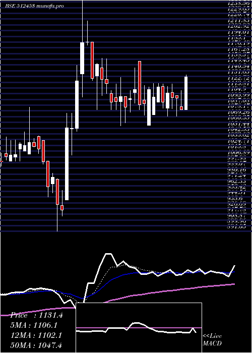 Daily chart ShriJagdamb