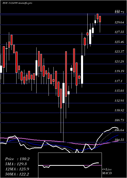  Daily chart GarnetIntl