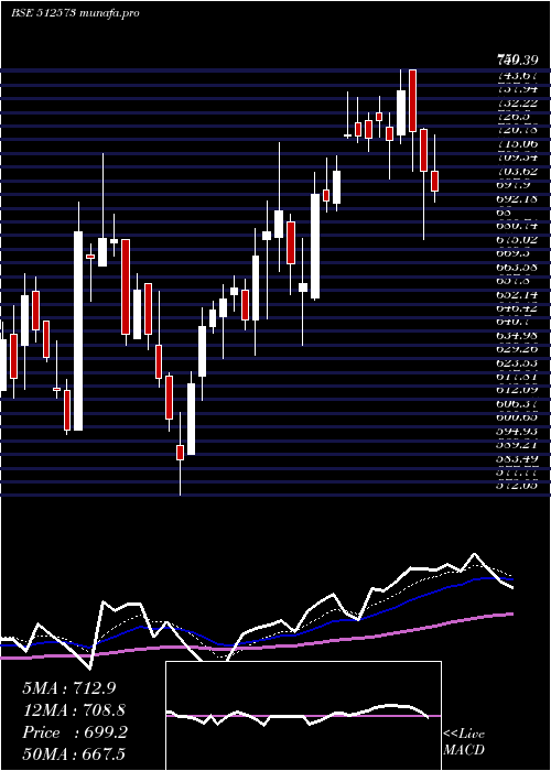  Daily chart AvantiFeeds