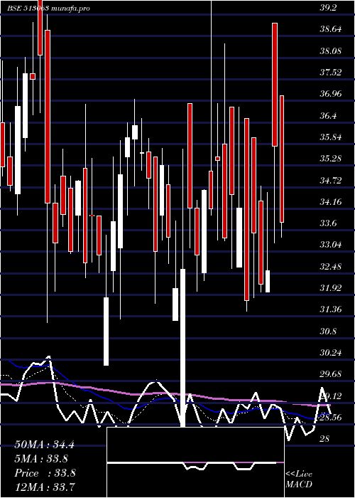  Daily chart Transfreight