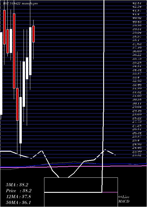 monthly chart BloomIndust