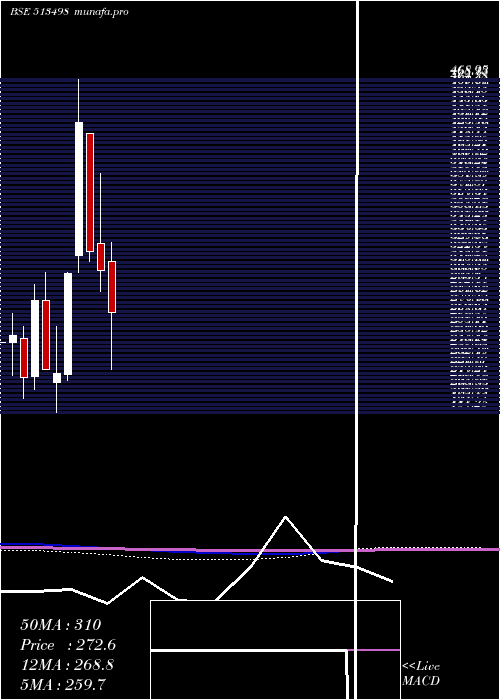  monthly chart SouthMagnes