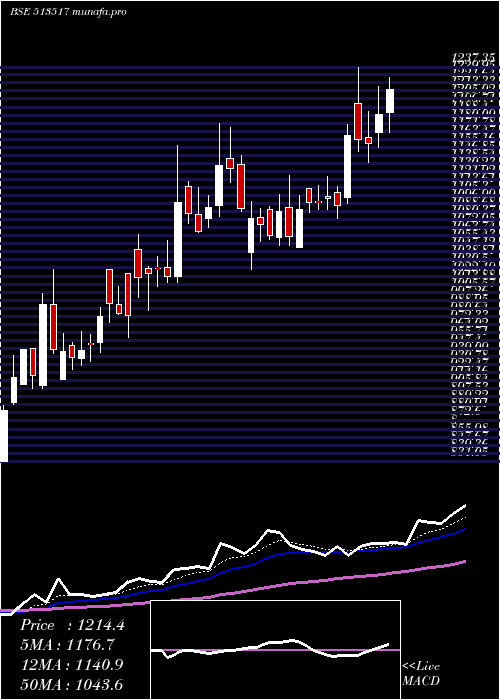 Daily chart Steelcast