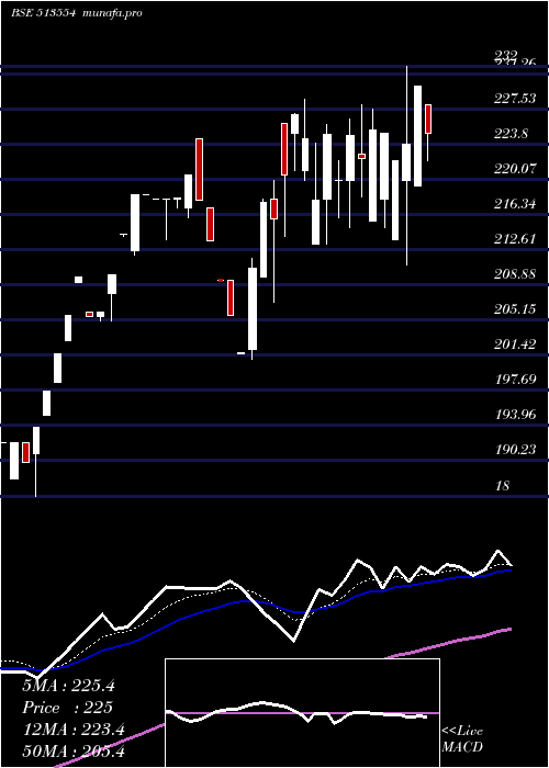  Daily chart MahaSteel