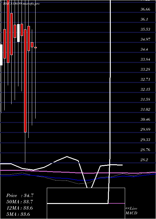 monthly chart SolidStone