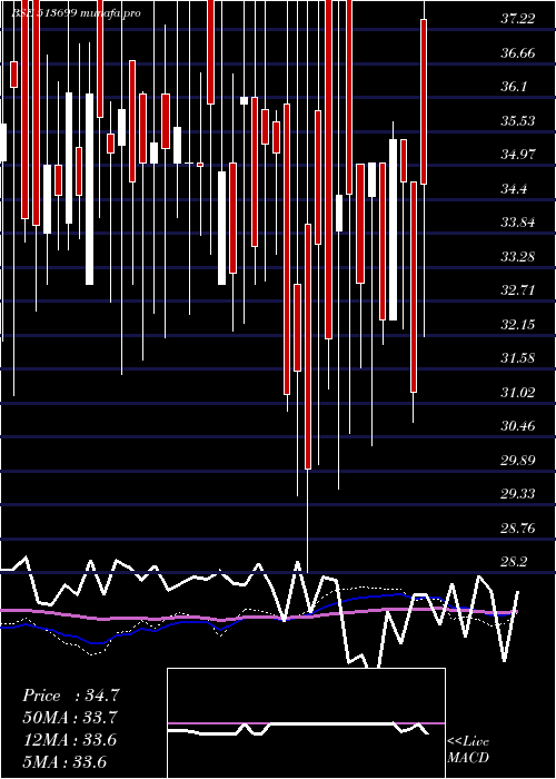weekly chart SolidStone