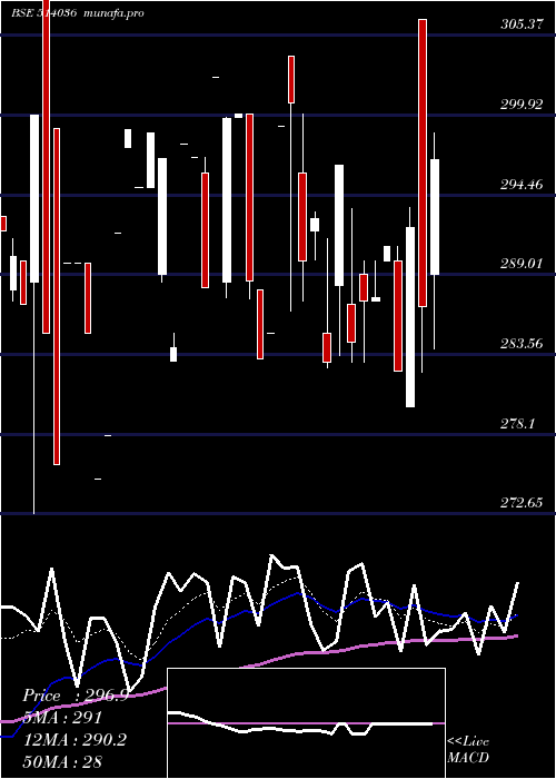 Daily chart LoyTex