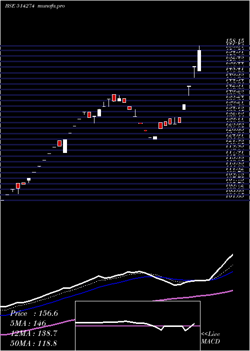  Daily chart AarveeDenim