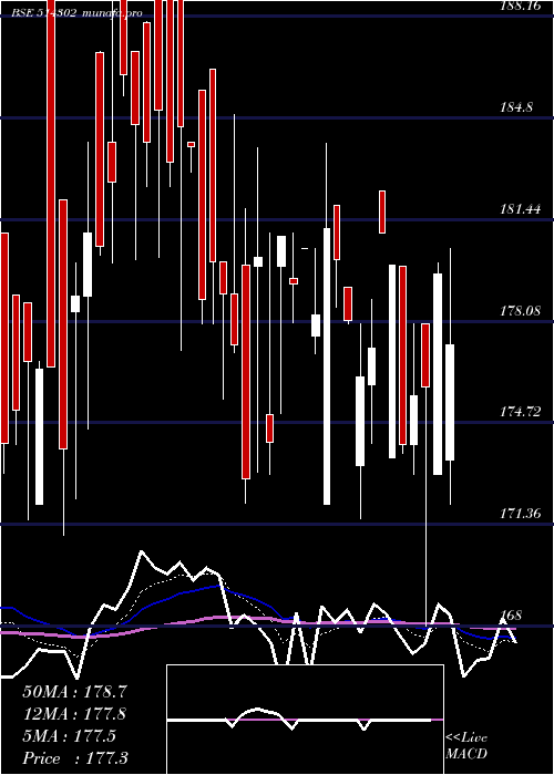  Daily chart VippySpin