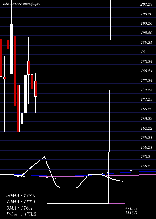  monthly chart VippySpin