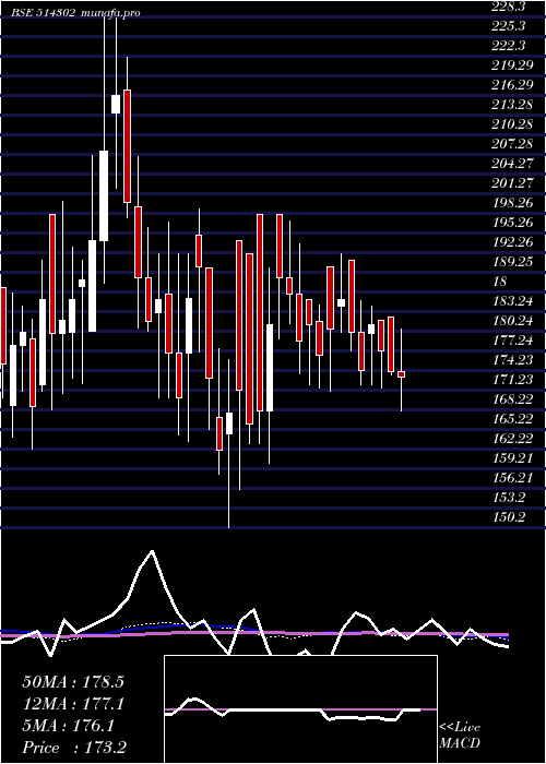  weekly chart VippySpin