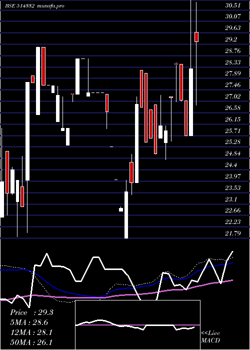 weekly chart Neoinfra