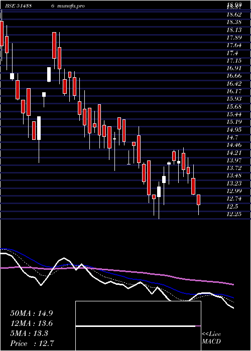  Daily chart GujCotex