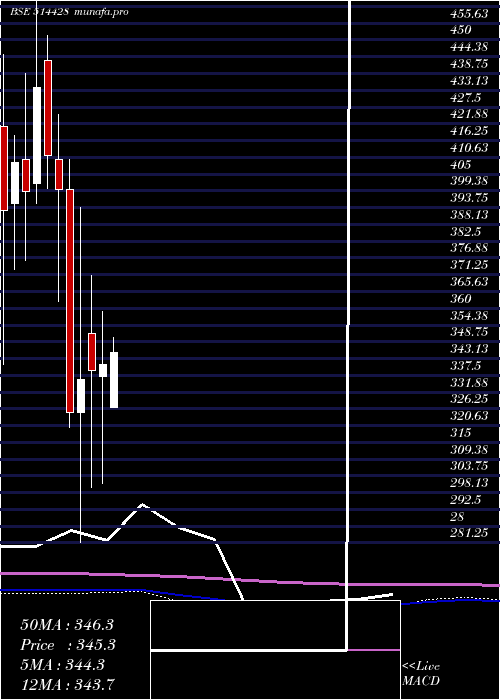 monthly chart HinduAdhesi
