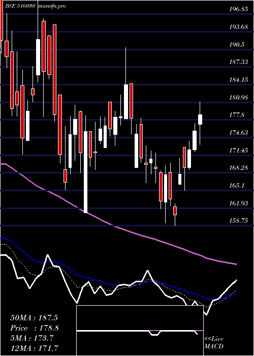 Daily chart Yashpakka