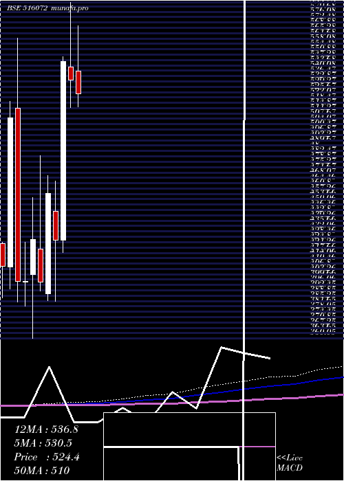  monthly chart VishnuChem