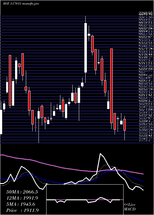 Daily chart VindhyaTele