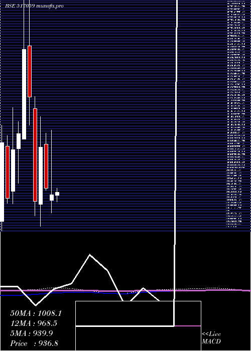 monthly chart SalzerElec