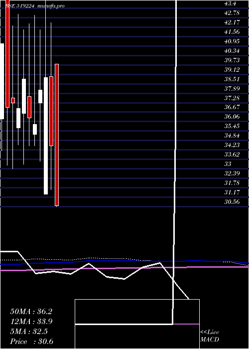  monthly chart WilliamMago