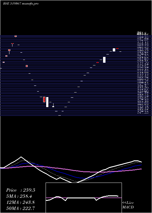  Daily chart TransglFood