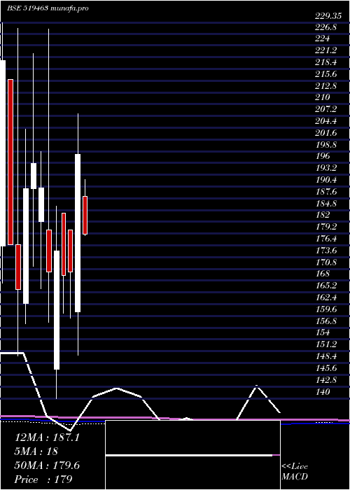 monthly chart IbInfotech